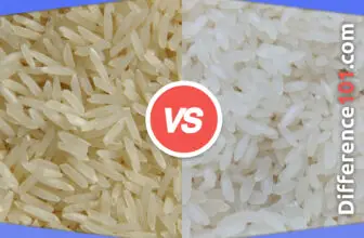 Basmati Rice vs. Jasmine Rice: 7 Key Differences, Pros & Cons, Similarities