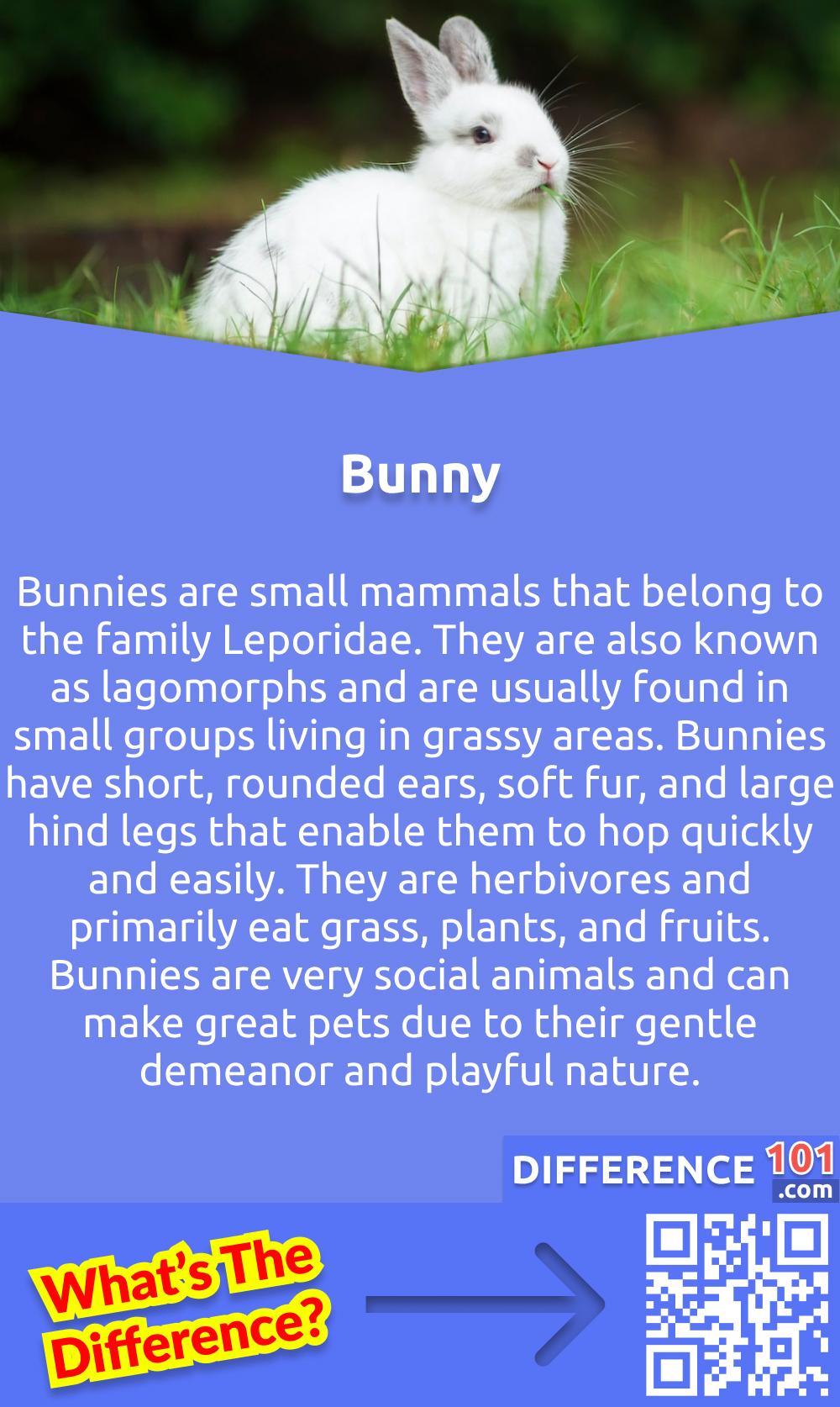 What Is Bunny? Bunnies are small mammals that belong to the family Leporidae. They are also known as lagomorphs and are usually found in small groups living in grassy areas. Bunnies have short, rounded ears, soft fur, and large hind legs that enable them to hop quickly and easily. They are herbivores and primarily eat grass, plants, and fruits. Bunnies are very social animals and can make great pets due to their gentle demeanor and playful nature. They require regular exercise, a safe outdoor area, and plenty of hay-based food and vegetables in order to stay healthy. Bunnies are also relatively low maintenance pets compared to other animals, making them an ideal choice for those looking for a small companion animal.