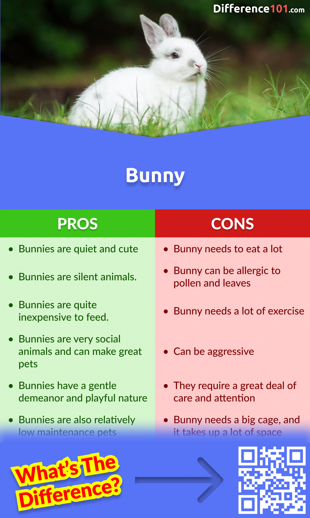 Bunny Pros & Cons