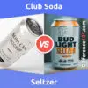 Club Soda vs. Seltzer: 5 Key Differences, Pros & Cons, Similarities