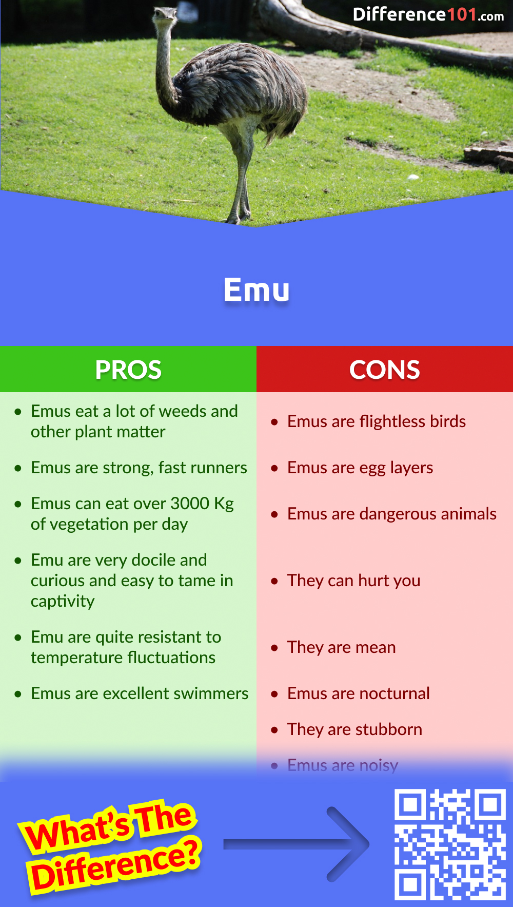 Emu Pros & Cons