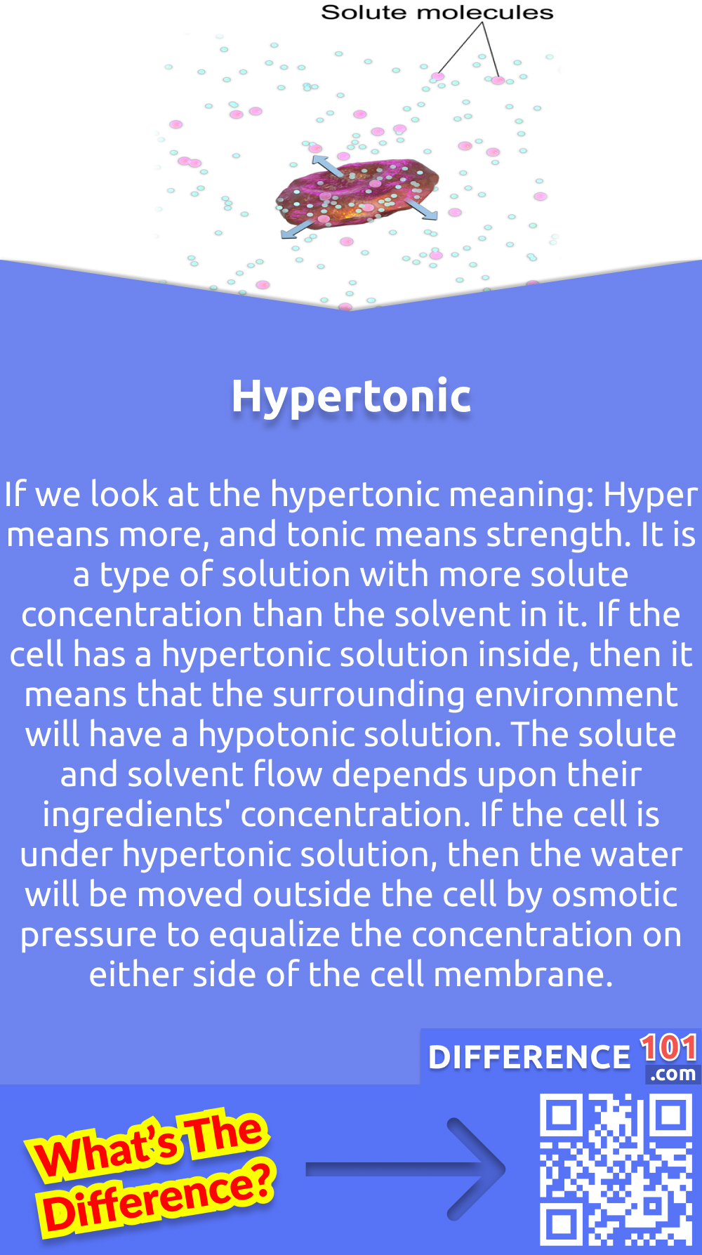 What Is Hypertonic? If we look at the hypertonic meaning: Hyper means more, and tonic means strength. It is a type of solution with more solute concentration than the solvent in it. If the cell has a hypertonic solution inside, then it means that the surrounding environment will have a hypotonic solution. The solute and solvent flow depends upon their ingredients' concentration. If the cell is under hypertonic solution, then the water will be moved outside the cell by osmotic pressure to equalize the concentration on either side of the cell membrane. Plant cells use hypertonic solutions to draw water into the vacuole. Moreover, the nerve cells of the animals also depend upon the ions of hypertonic solution. Which generates an action potential.
