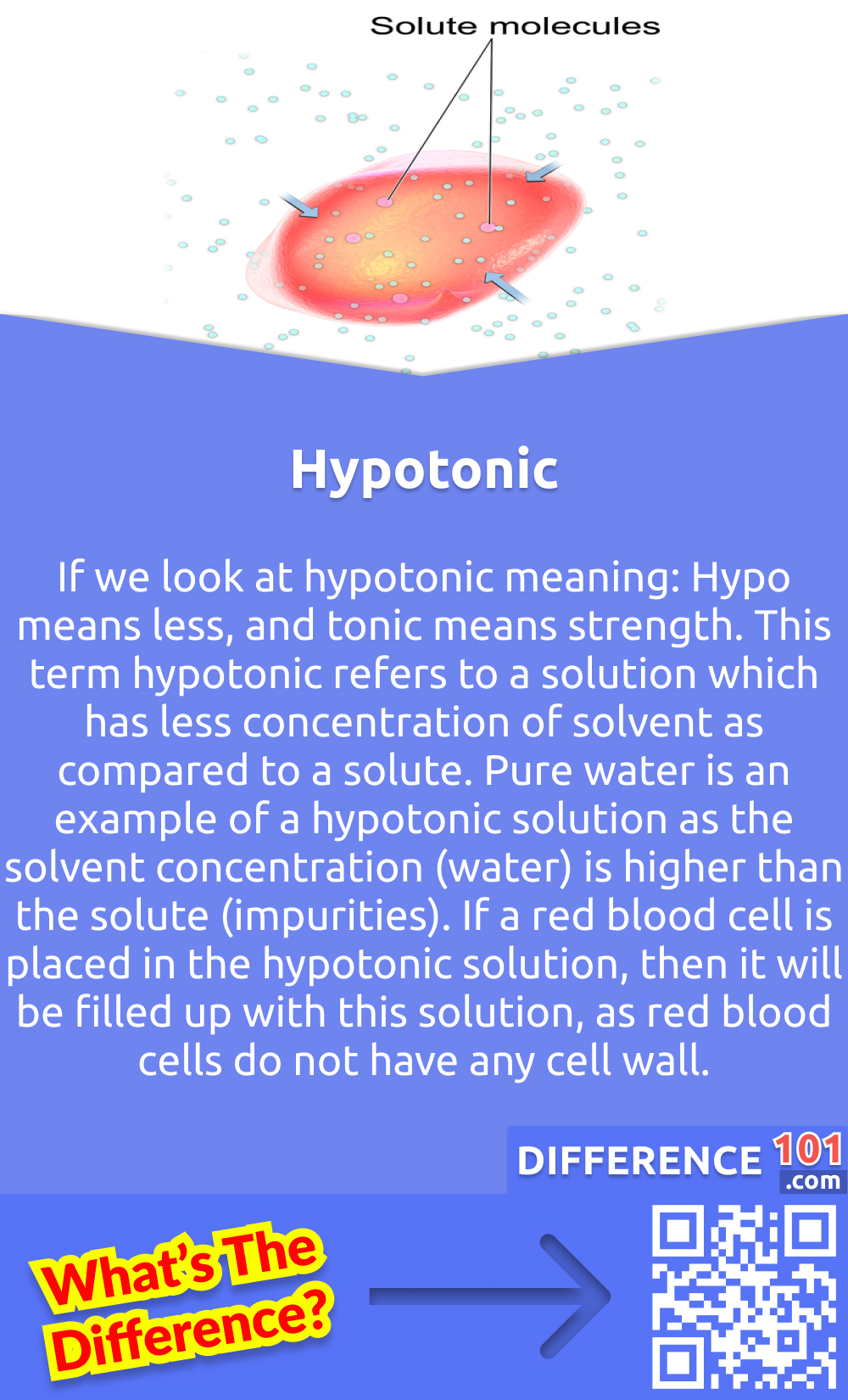 What Is Hypotonic? If we look at hypotonic meaning: Hypo means less, and tonic means strength. This term hypotonic refers to a solution which has less concentration of solvent as compared to a solute. Pure water is an example of a hypotonic solution as the solvent concentration (water) is higher than the solute (impurities). If a red blood cell is placed in the hypotonic solution, then it will be filled up with this solution, as red blood cells do not have any cell wall. The solution starts to fill up and produce a high pressure which can cause the bursting of the red blood cells. And when a plant cell is placed under the hypotonic solution, the central part of the vacuole of the plant takes up all the additional water and tugs the cell membrane against the cell wall. But due to the rigid nature of the cell, it drags back and reduces the risk of bursting.