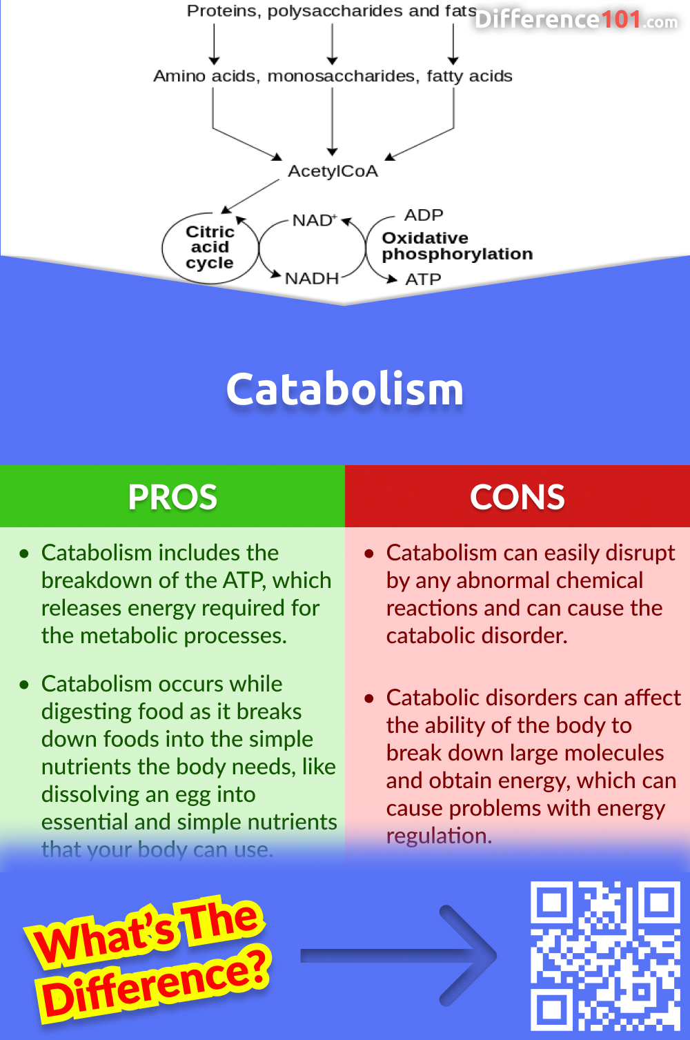 Catabolism Pros and Cons