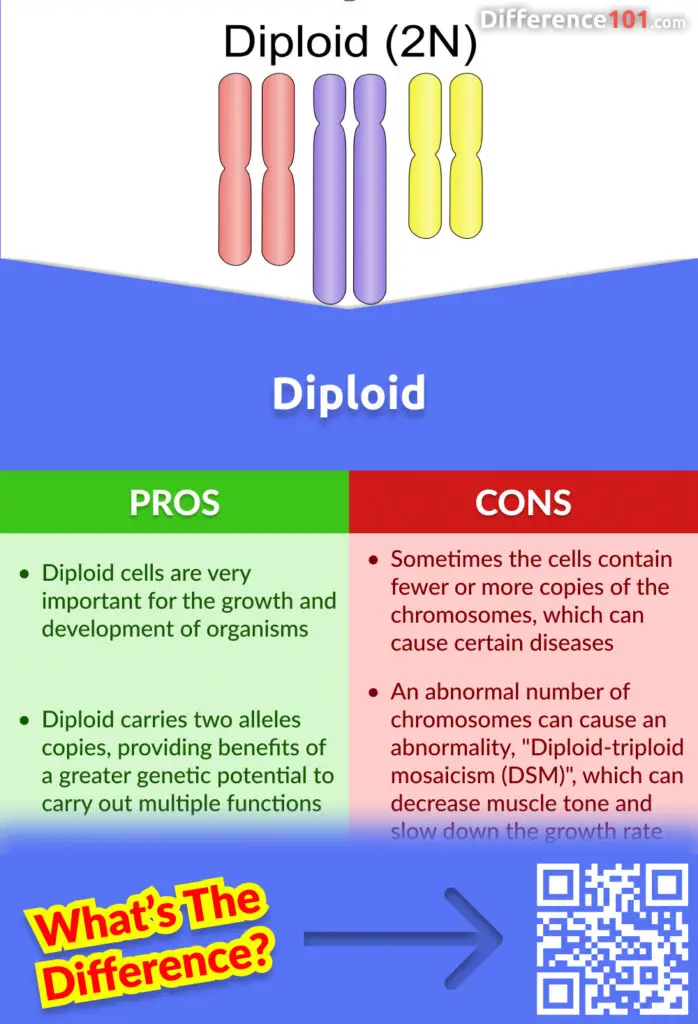 Diploid Cells Pros and Cons