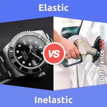 Elastic vs. Inelastic: 5 Key Differences, Pros & Cons, Similarities