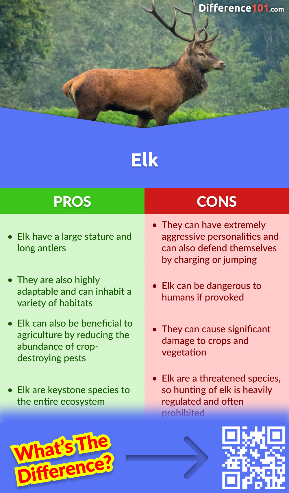 Elk Pros & Cons