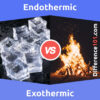 Endothermic vs. Exothermic: 5 Key Differences, Pros & Cons, Examples