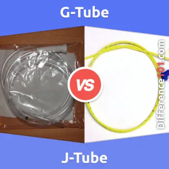 J-Tube vs. G-Tube: 5 Key Differences, Pros & Cons, Similarities