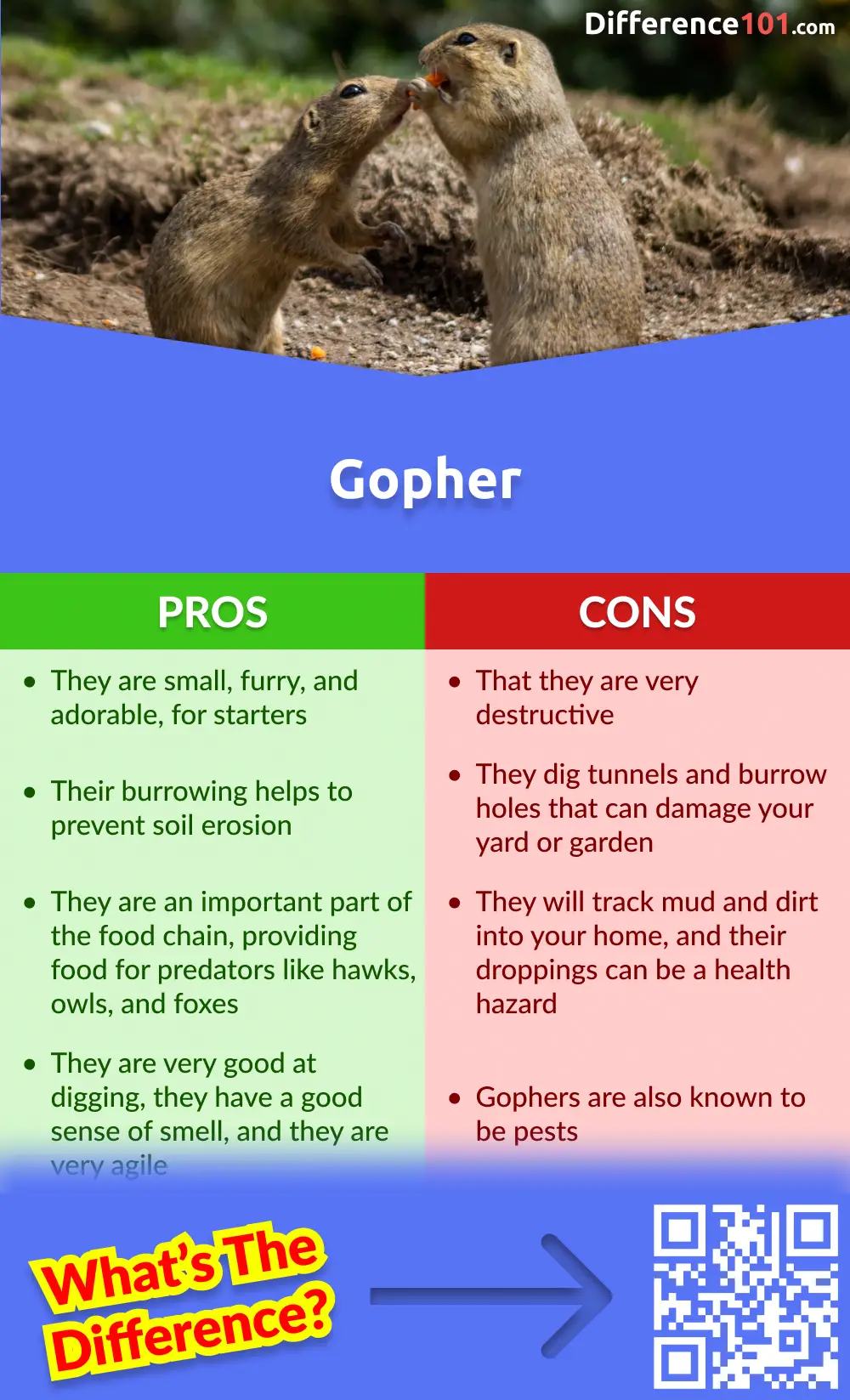 Gopher Pros & Cons