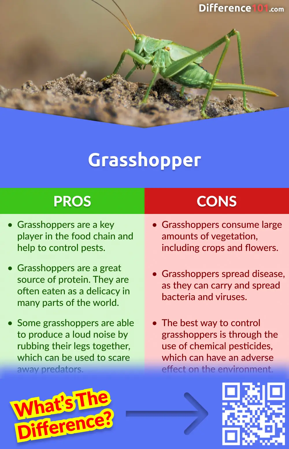 Grasshopper Pros & Cons
