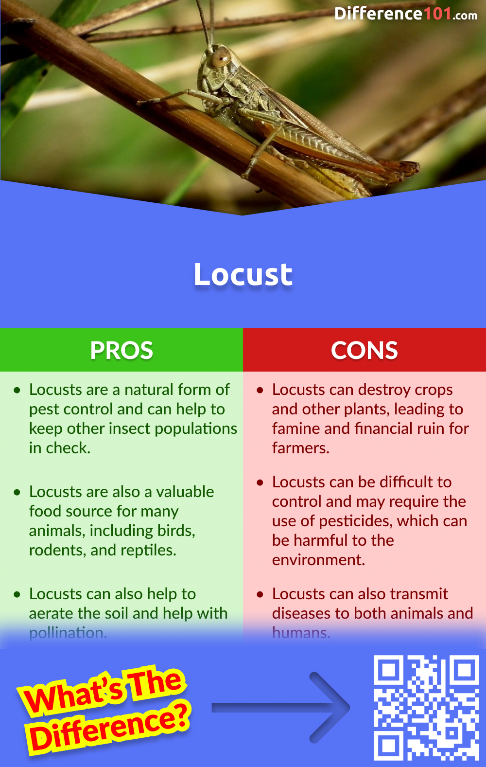 Locust Pros & Cons