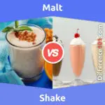 Malt vs. Shake: 5 Key Differences, Pros & Cons, Similarities