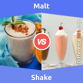 Malt vs. Shake: 5 Key Differences, Pros & Cons, Similarities