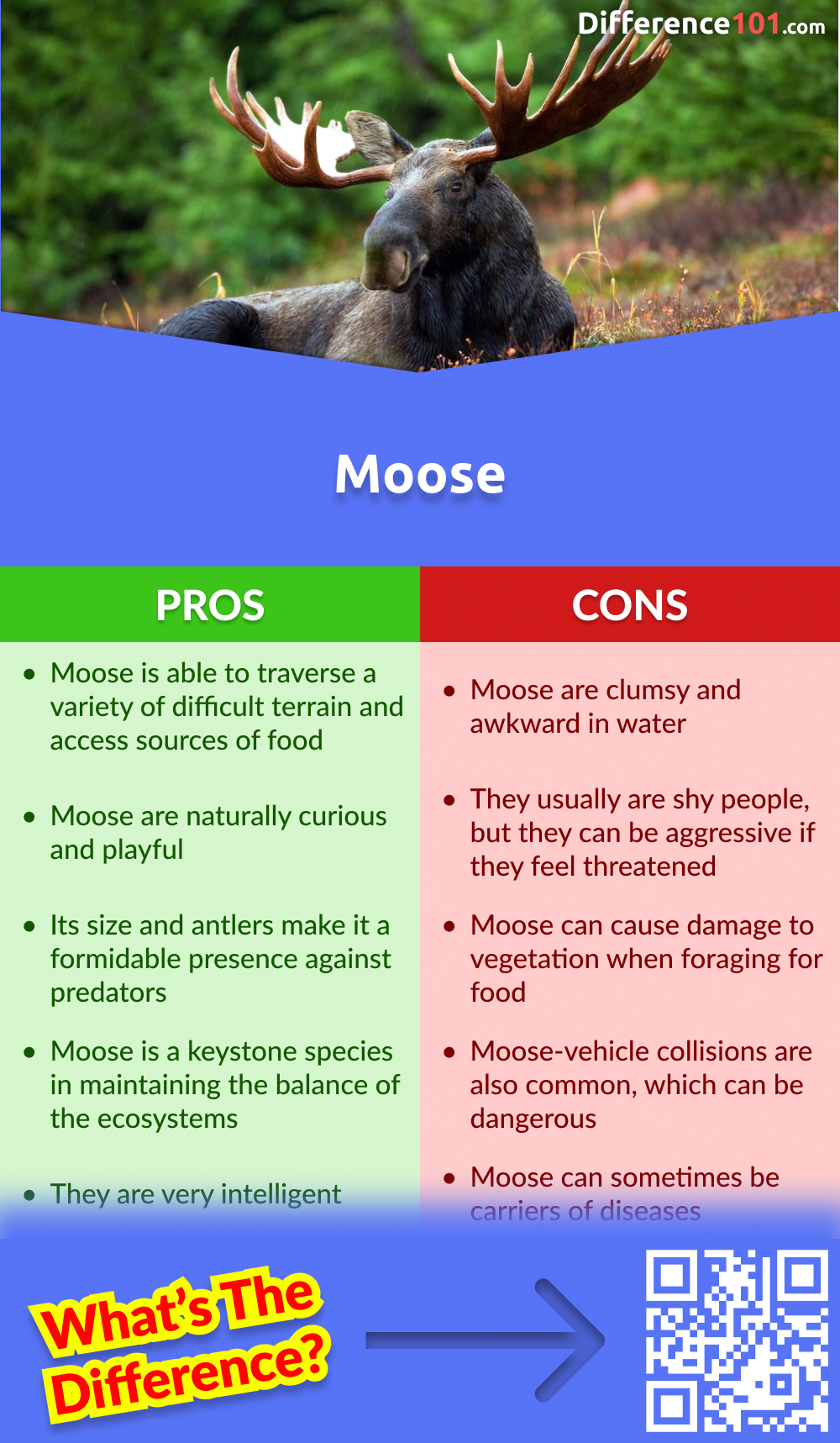 Moose Pros & Cons