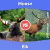 Moose vs. Elk: 5 Key Differences, Pros & Cons, Similarities
