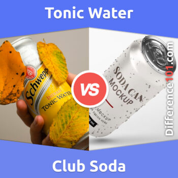 Tonic Water vs. Club Soda: 5 Key Differences, Pros & Cons, Similarities