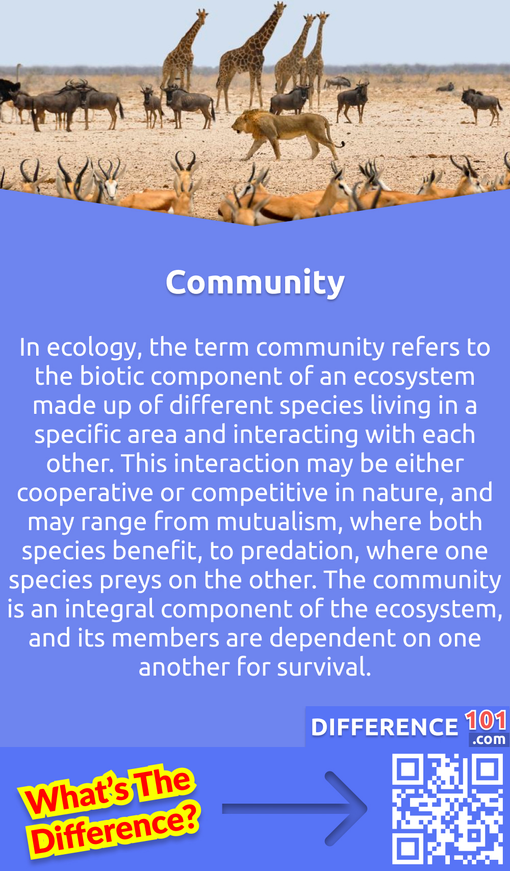 What Is Community? In ecology, the term community refers to the biotic component of an ecosystem made up of different species living in a specific area and interacting with each other. This interaction may be either cooperative or competitive in nature, and may range from mutualism, where both species benefit, to predation, where one species preys on the other. The community is an integral component of the ecosystem, and its members are dependent on one another for survival. The structure and composition of a community reflect the abiotic and biotic factors present in the ecosystem, such as climate, topography, nutrients, and species interactions. Understanding community dynamics is essential in predicting how changes in the environment may impact the ecosystem's functioning.