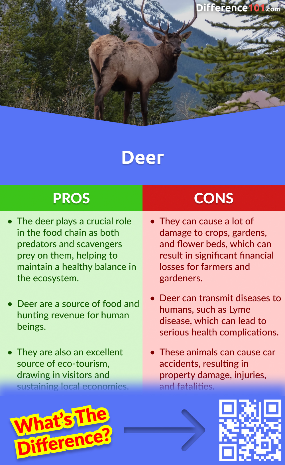 Deer Pros & Cons
