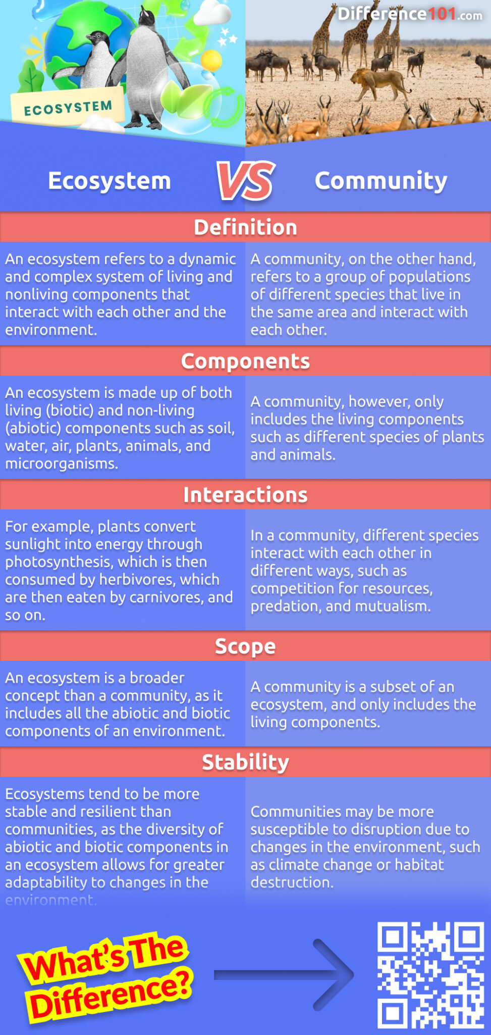What is the difference between an ecosystem and a community? Both are essential to the functioning of the Earth, but they have different roles. Here's a quick overview of the two terms.