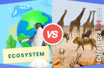 Ecosystem vs. Community: 5 Key Differences, Pros & Cons, Similarities
