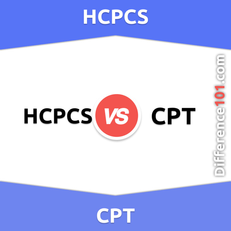 Hcpcs Vs Cpt 6 Key Differences Pros Cons Examples Difference 101 Hcpcs Vs Cpt 6 Key Differences Pros Cons Examples Difference 101
