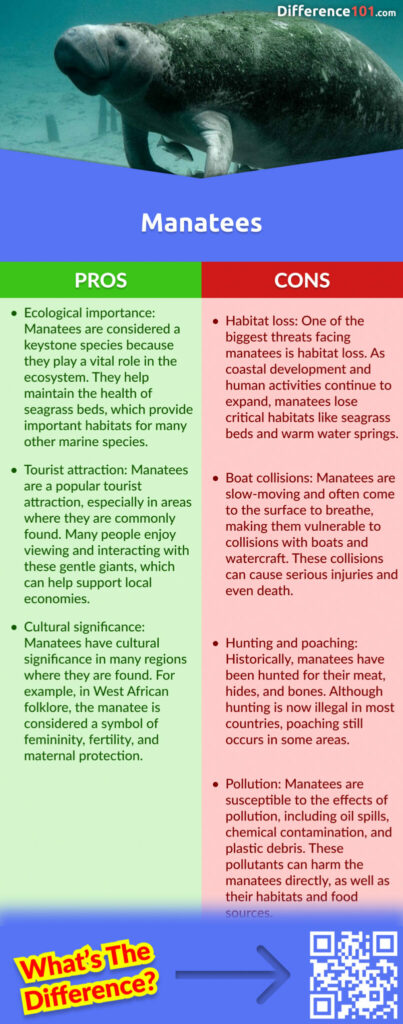 Manatees Pros and Cons
