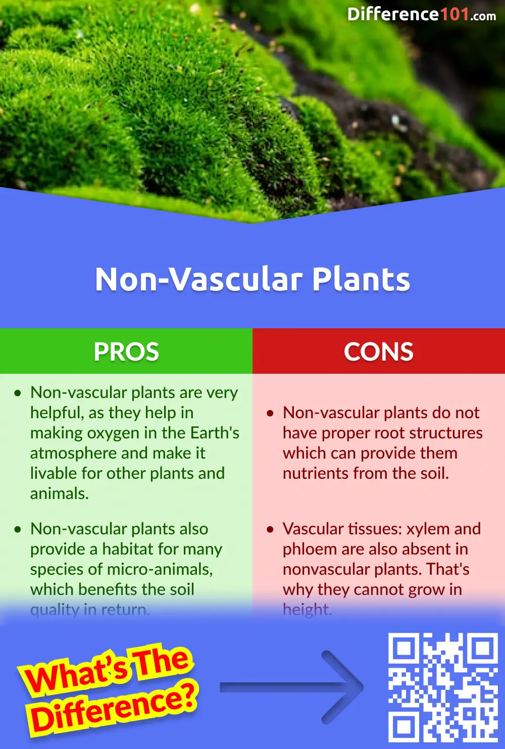 Non-vascular Plants Pros and Cons