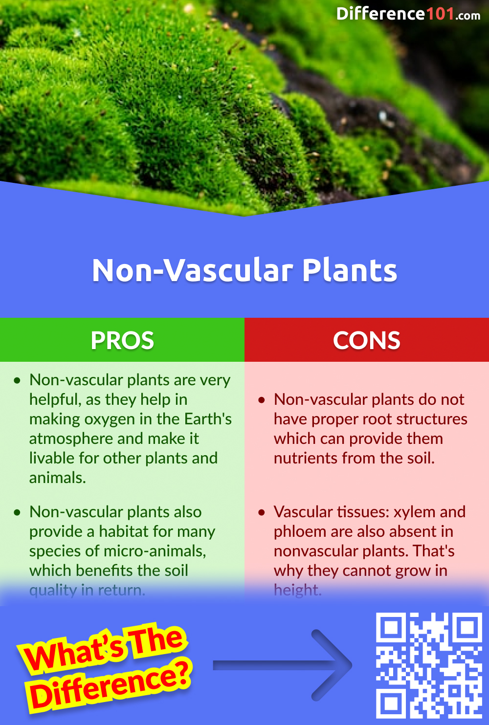 difference-between-vascular-and-non-vascular-plants-definition