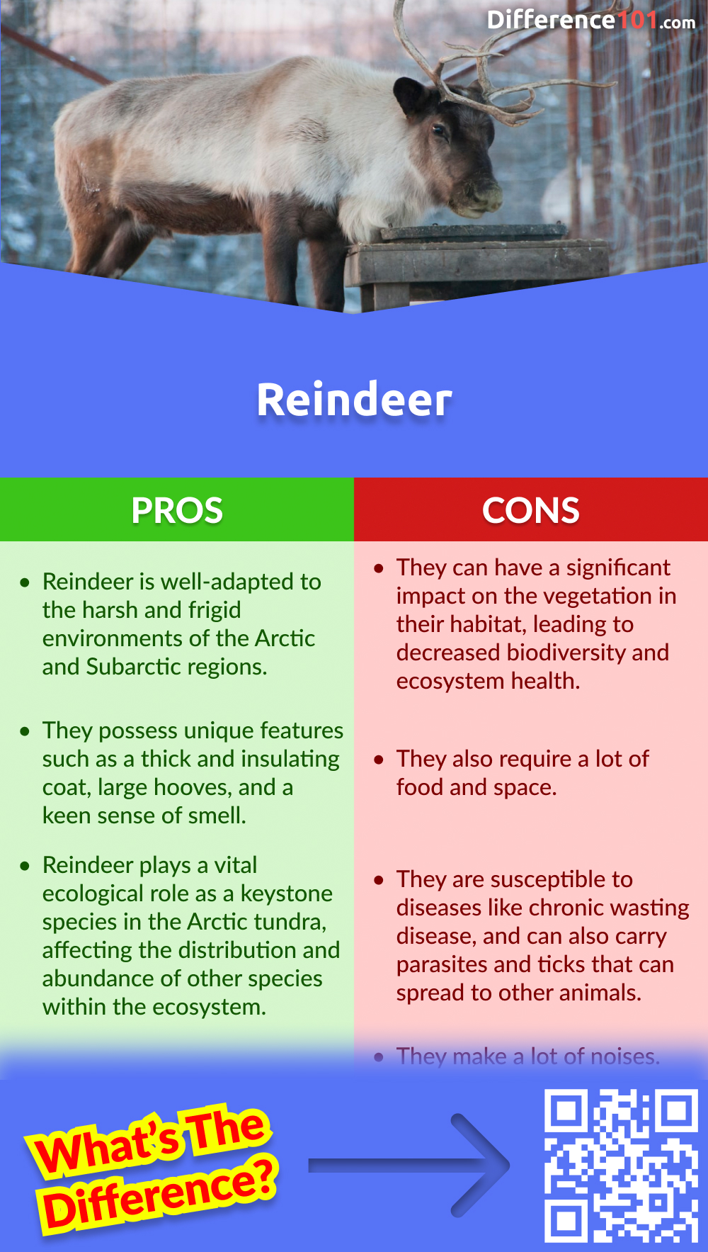 Reindeer Pros & Cons