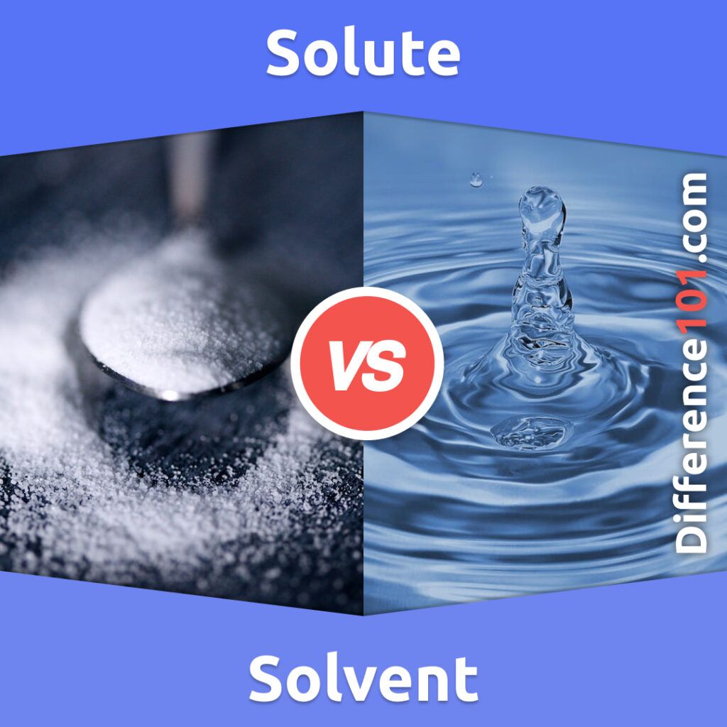 Solute Vs Solvent 5 Key Differences Pros And Cons Examples Difference 101