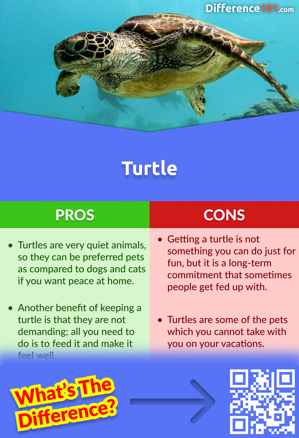 Turtle Pros and Cons