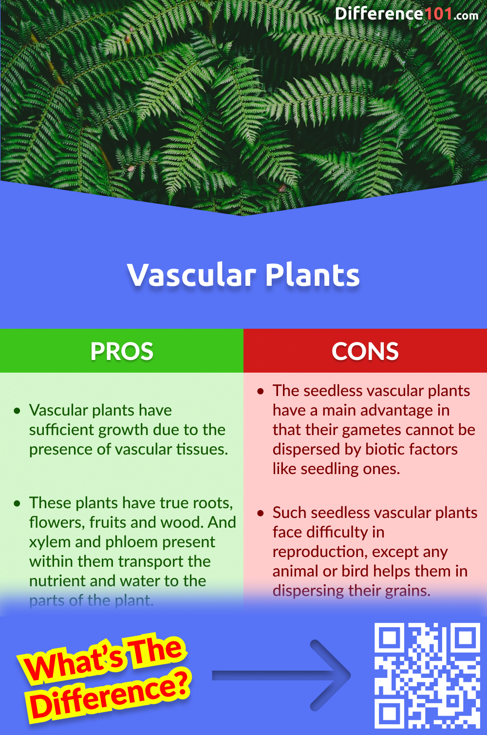 Vascular Plants Pros and Cons
