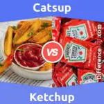 Catsup vs. Ketchup: 5 Key Differences, Pros & Cons, Similarities