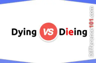 Dying vs. Dieing: 3 Key Differences, Pros & Cons, Similarities