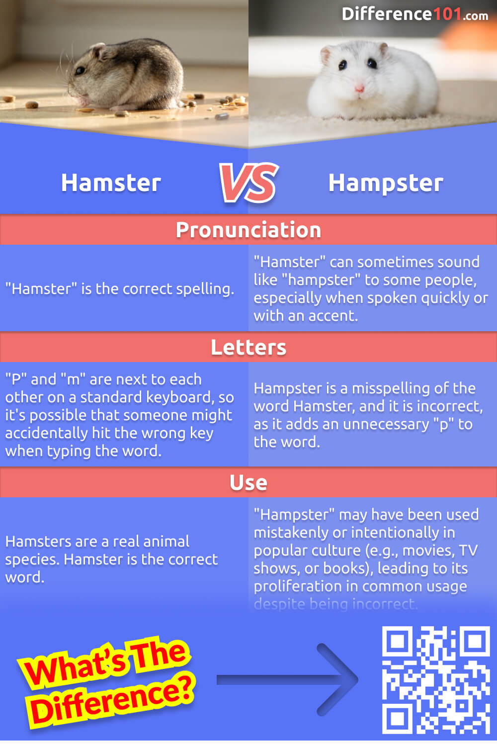 What's the difference between hamster and hampster? In this blog, we'll clarify the subtle differences between these two commonly confused words, from their spelling to their meanings and more.