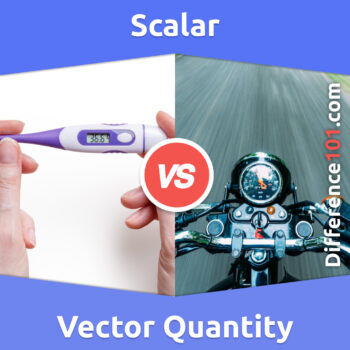 Scalar vs. Vector Quantity: 5 Key Differences, Pros & Cons, Similarities