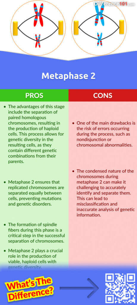 Metaphase 2 Pros & Cons