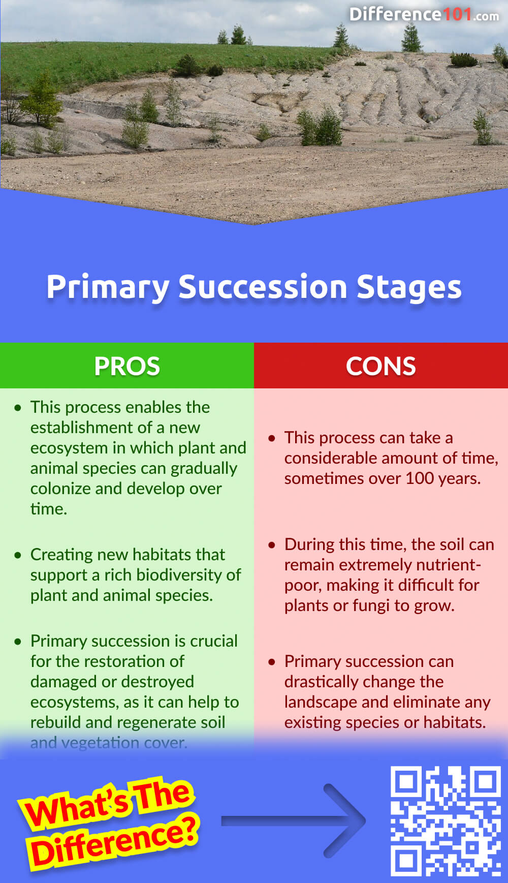 Primary Succession Stages Pros & Cons