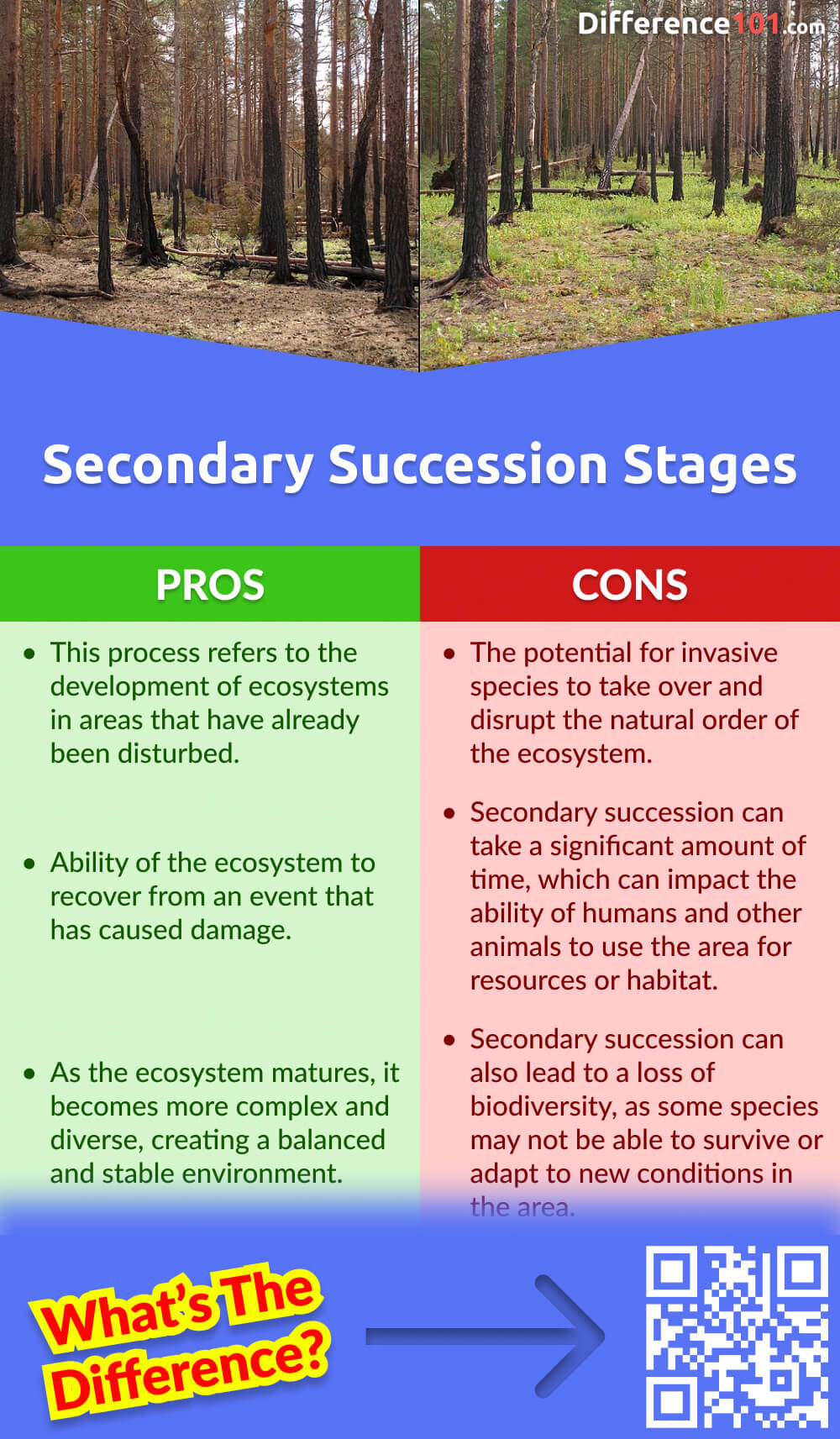 Secondary Succession Stages Pros & Cons