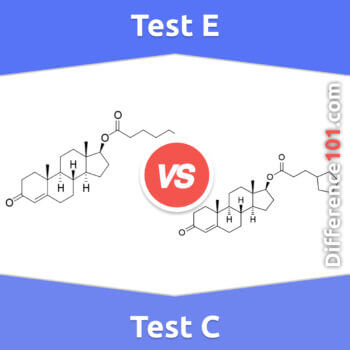 Test E vs. Test C: 6 Key Differences, Pros & Cons, Similarities