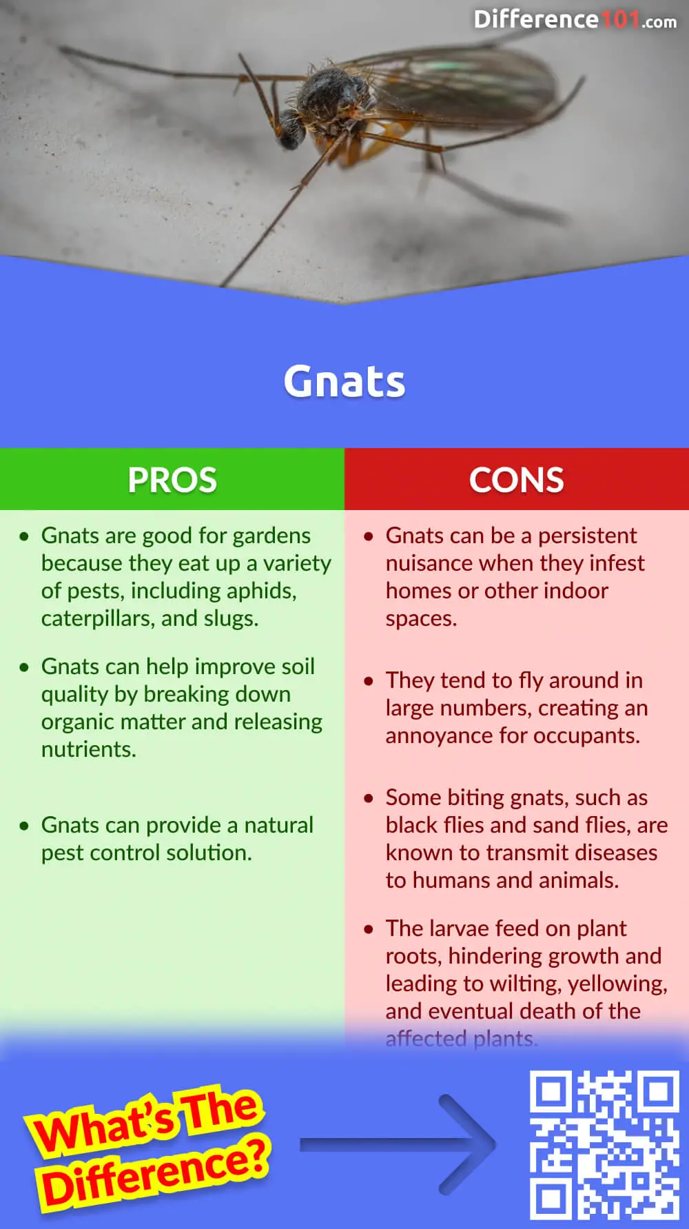 Gnats Pros & Cons

