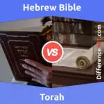 Hebrew Bible vs. Torah: 6 Key Differences, Pros & Cons, Similarities