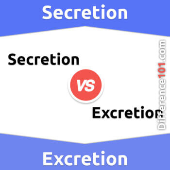 Secretion vs. Excretion: 7 Key Differences, Pros & Cons, Similarities