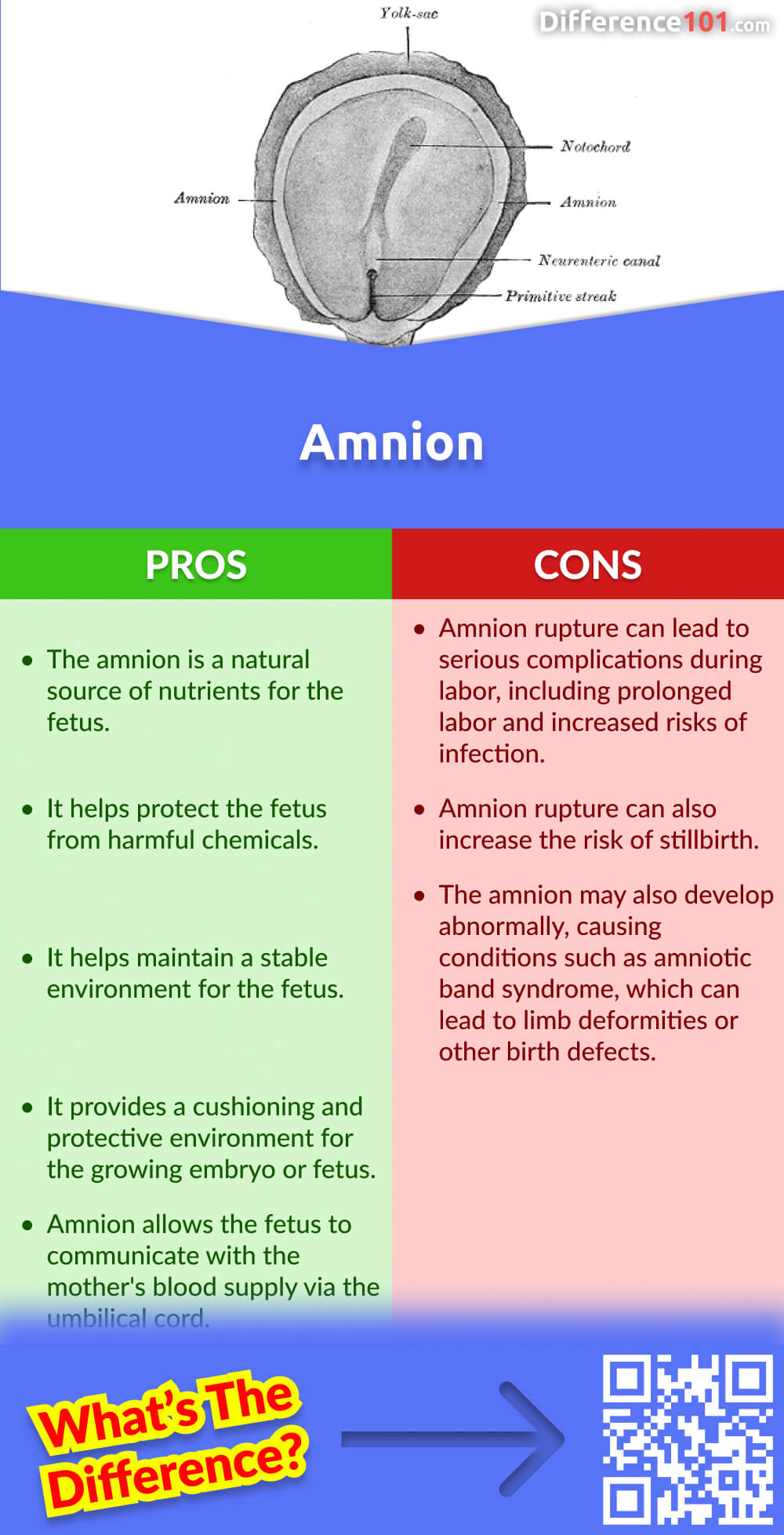 Amnion Pros & Cons