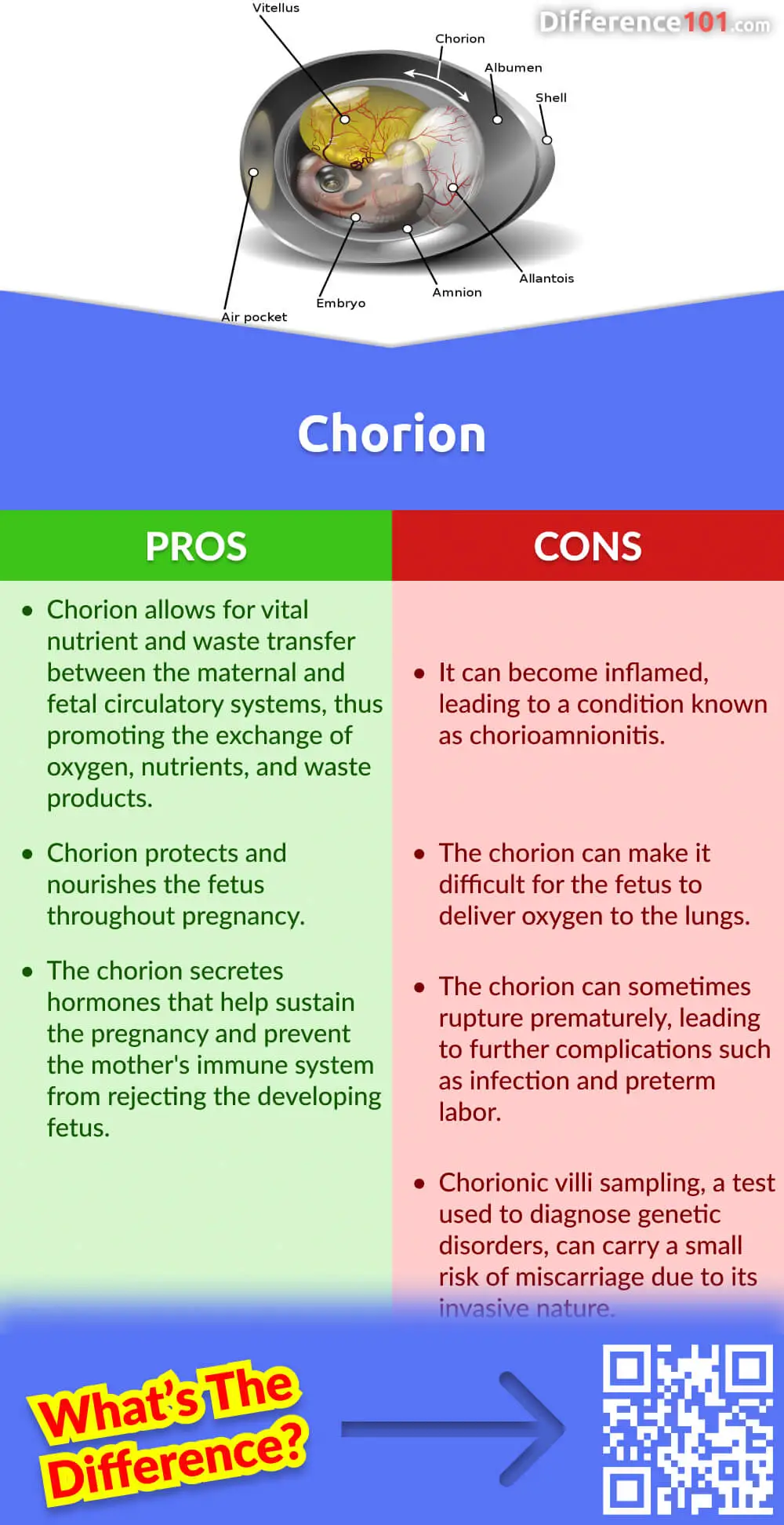 Chorion Pros & Cons
