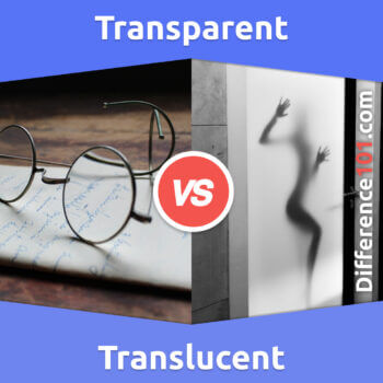Transparent vs. Translucent: 9 Key Differences, Pros & Cons, Similarities