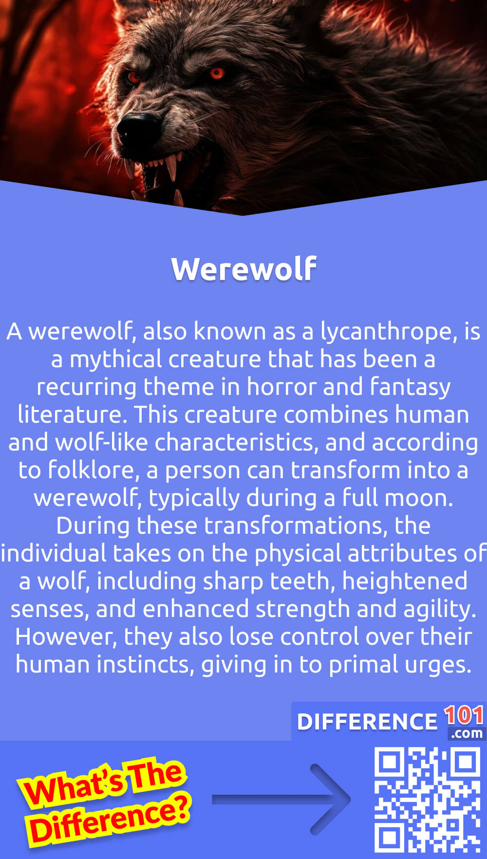What Is Werewolf? A werewolf, also known as a lycanthrope, is a mythical creature that has been a recurring theme in horror and fantasy literature. This creature combines human and wolf-like characteristics, and according to folklore, a person can transform into a werewolf, typically during a full moon. During these transformations, the individual takes on the physical attributes of a wolf, including sharp teeth, heightened senses, and enhanced strength and agility. However, they also lose control over their human instincts, giving in to primal urges. Werewolves are often depicted as cursed or afflicted individuals, and the condition is typically passed through a bite or a hereditary curse. The werewolf is emblematic of the struggle between human reason and animalistic instincts.
