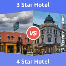 3 Star vs. 4 Star Hotels: Everything You Need To Know About The Difference Between 3 Star And 4 Star Hotels