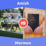 Amish vs. Mormon: Everything You Need To Know About The Difference Between Amish And Mormon